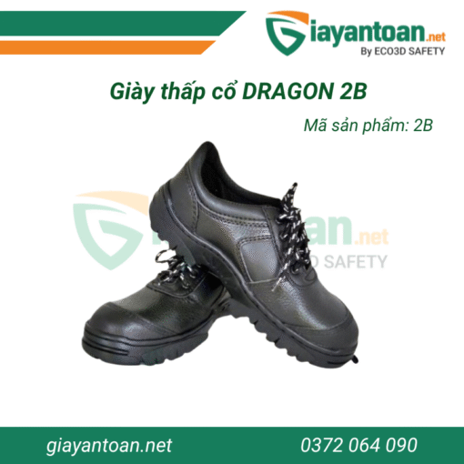 Giày bảo hộ thấp cổ Dragon 2B