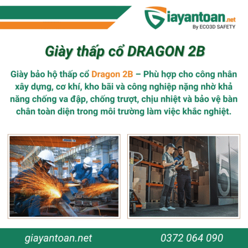 Giày bảo hộ thấp cổ Dragon 2B