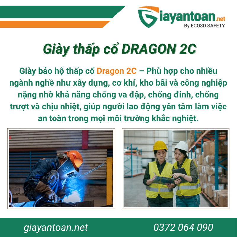 Giày bảo hộ Dragon 2C