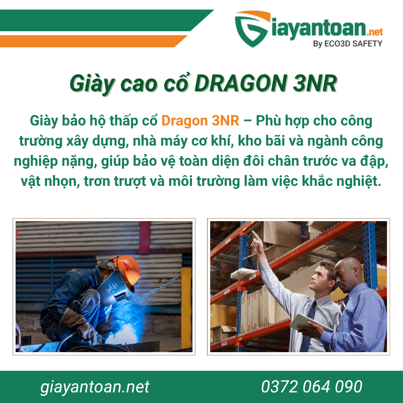 Giày bảo hộ cao cổ Dragon 3NR