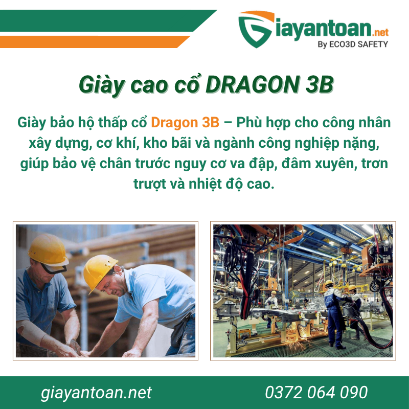 Giày bảo hộ Dragon 3B