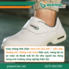 Giày chống tĩnh điện Hans HS-202-AIR