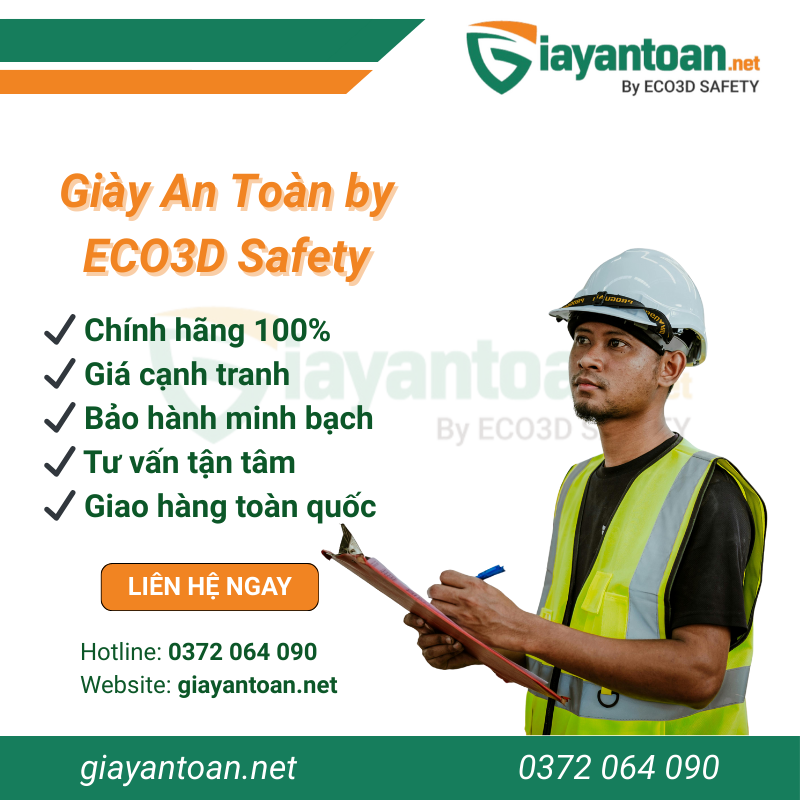 Giày bảo hộ thấp cổ Dragon 2B