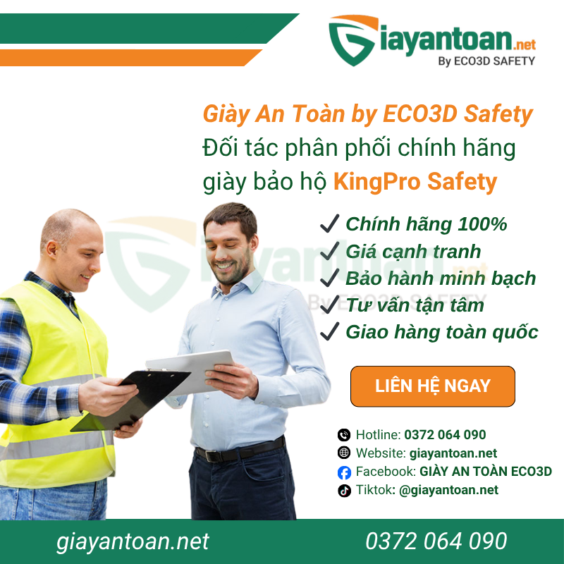 Giày bảo hộ Dragon 2C