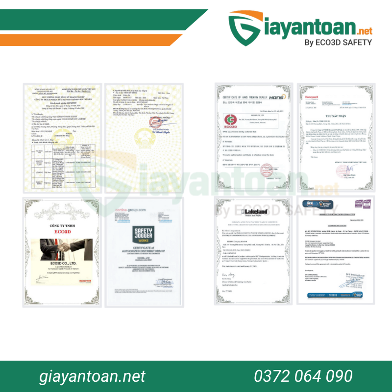 Giày bảo hộ Dragon 2C