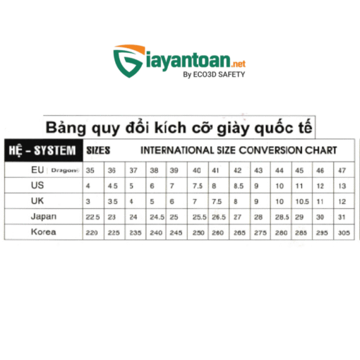 Giày bảo hộ Dragon