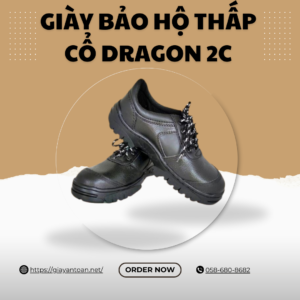 Giày bảo hộ Dragon 2C