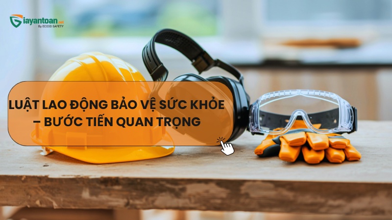 Luật Lao Động Bảo Vệ Sức Khỏe – Bước Tiến Quan Trọng