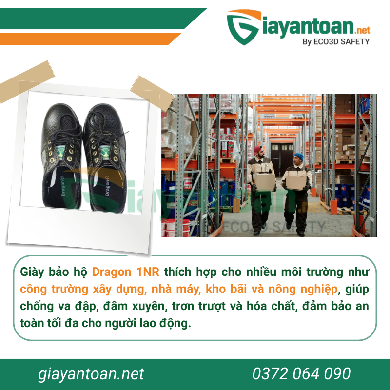 Giày bảo hộ thấp cổ Dragon 1NR-S35