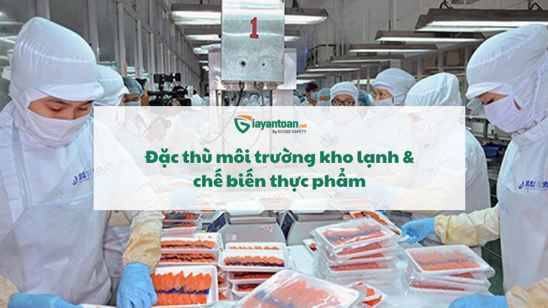 Đặc thù môi trường kho lạnh & chế biến thực phẩm