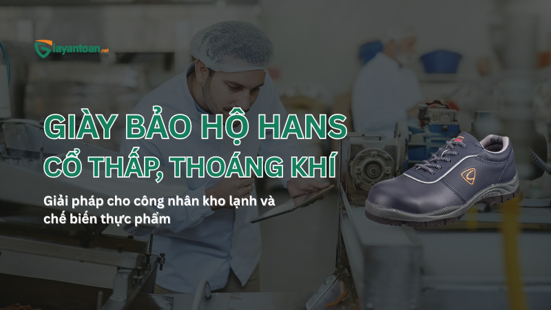 Giày bảo hộ Hans cổ thấp thoáng khí