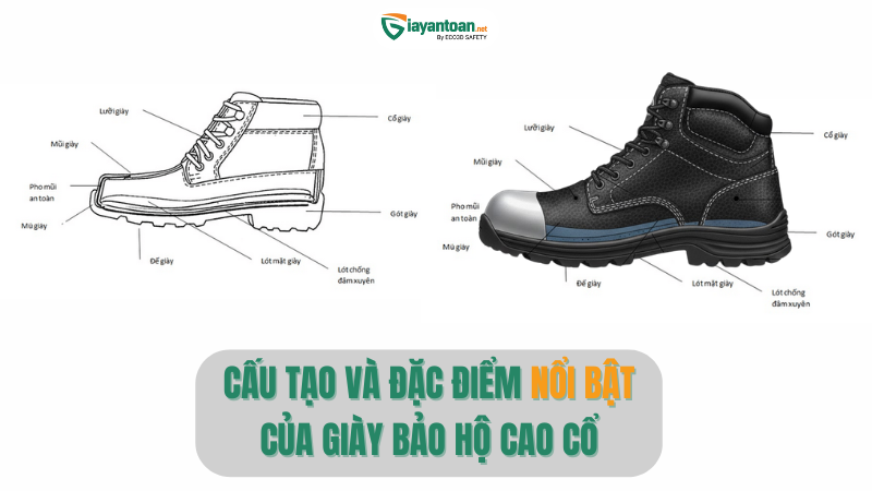 Cấu tạo tiêu chuẩn của giày bảo hộ cao cổ