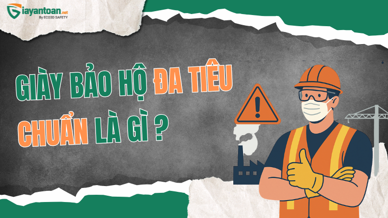 Giày bảo hộ đa tiêu chuẩn là gì?