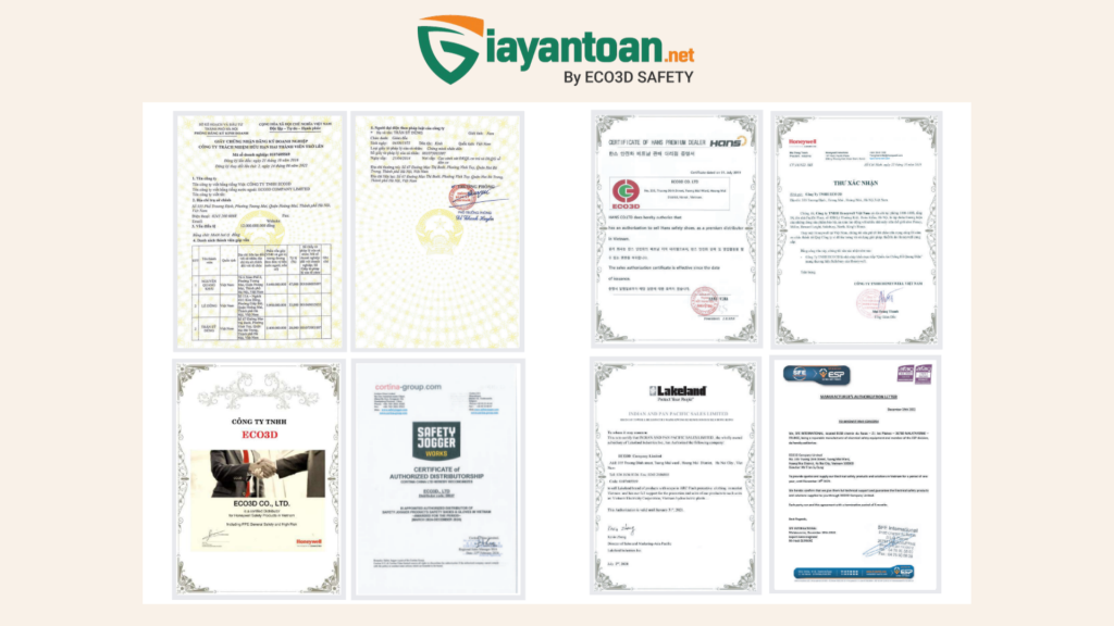 Hình ảnh thực tế giày bảo hộ Dragon chính hãng